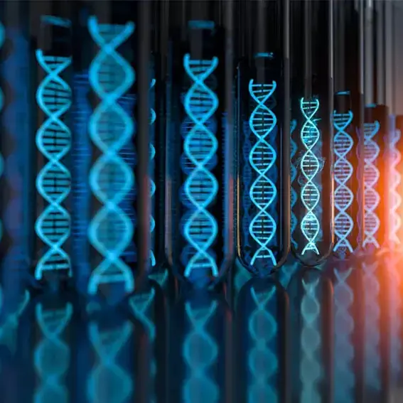 Hifair™ AdvanceFast 1st Strand cDNA Synthesis Kit (No Dye) - 100 reactions