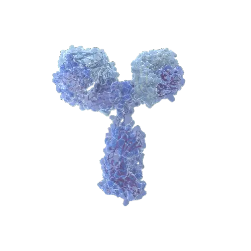 CD55 (Human) Matched Antibody Pair