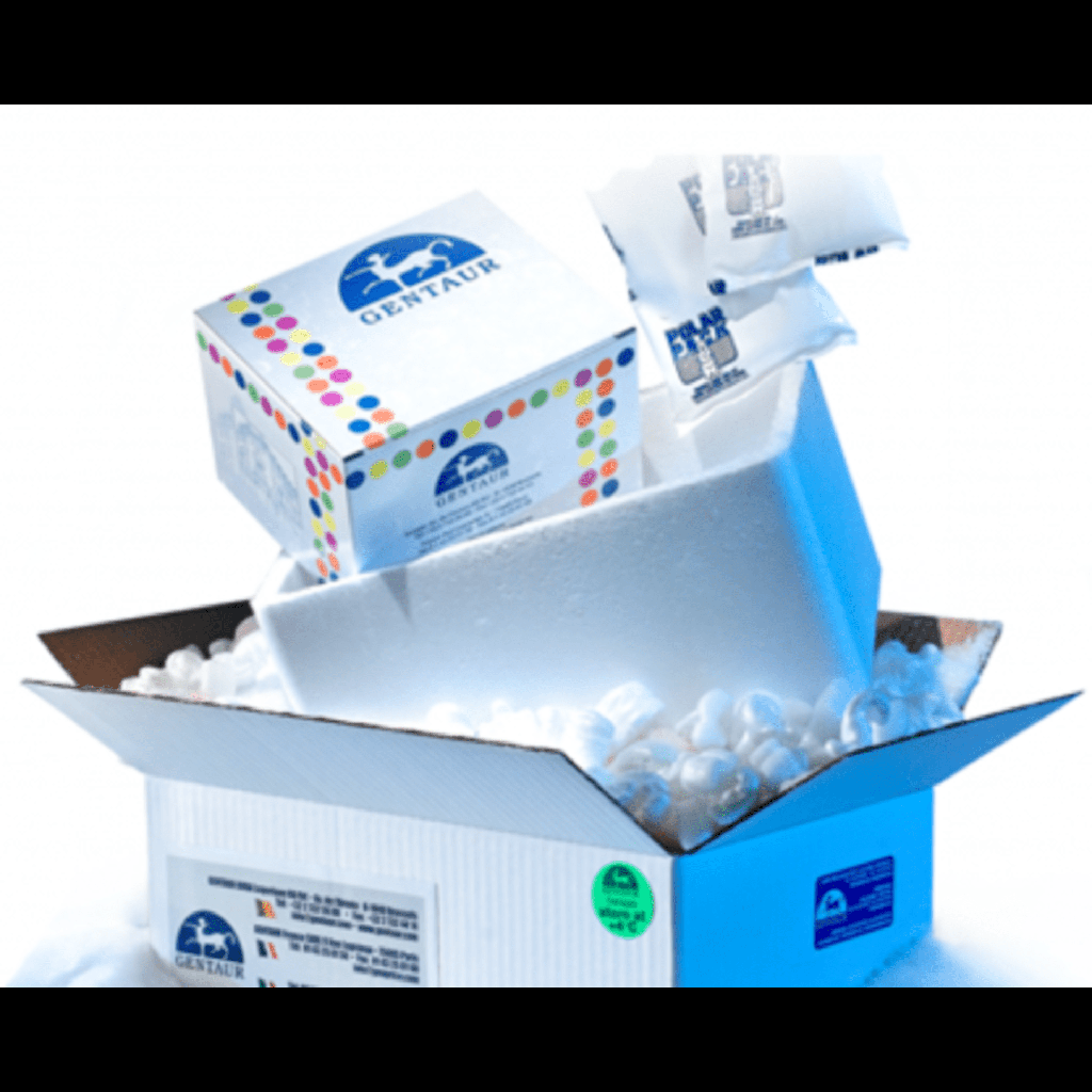 ELISA Treponema pallidum IgG Test System - 96 tests