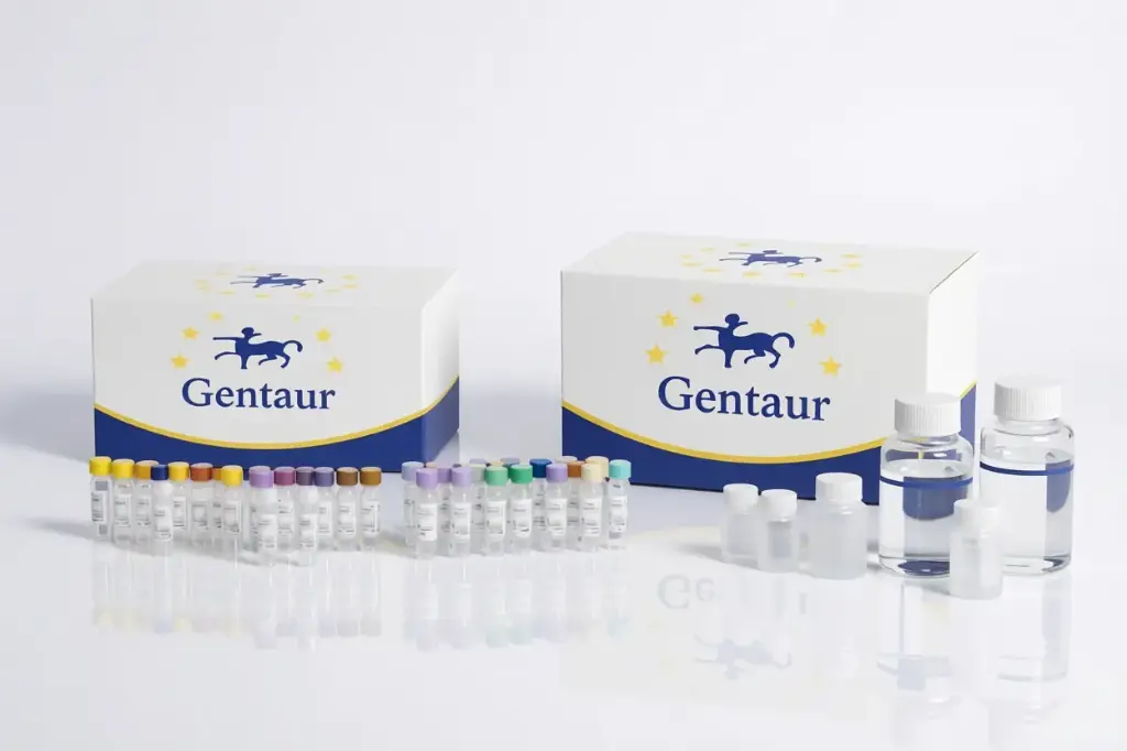 [KG80505-sf] T/G-PAG, non-SDS, 12% 1.5mm 10well