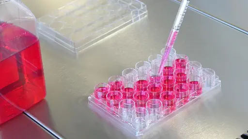 [DF15422] ELISA  TWF2 anti-
