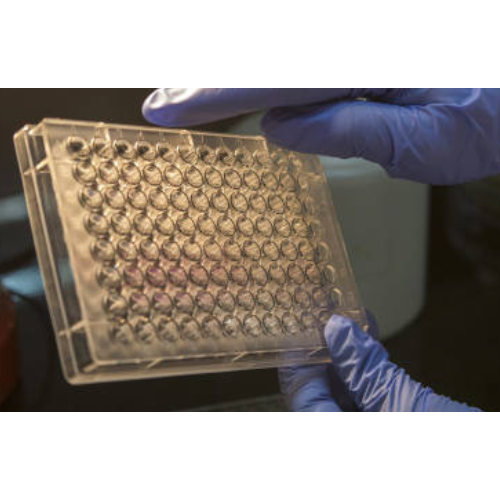 [DF7000] ELISA  ADIPOQ anti-