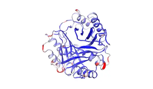[CH27] Recombinant Mouse MIF (C-6His) - 1mg