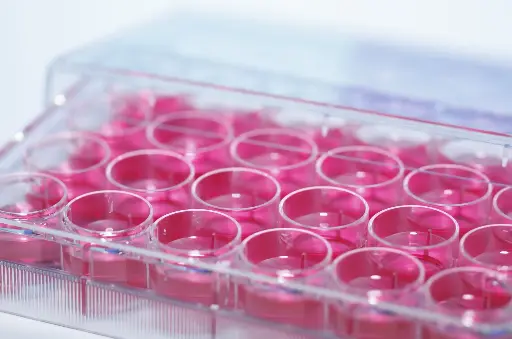ELISA Kit for Bovine Haptoglobin (Hpt) - 96-wells plate