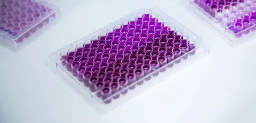 ELISA Kit for C-Peptide (CP) - 96T