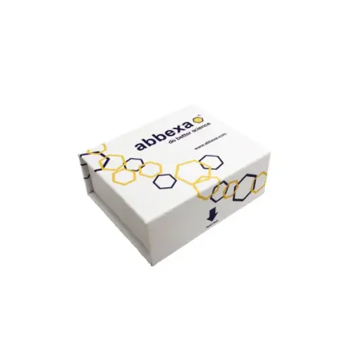 ELISA Kit for Versican (VCAN) - 96 Tests
