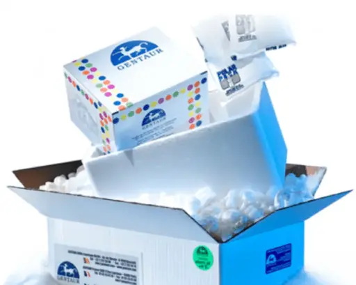 GoldBand™ 100bp DNA ladder - 100 lanes