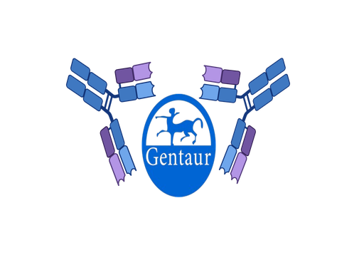 [GEN - 1242001] NADAL Salmonella spp., rapid test 