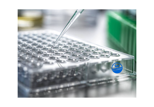 [GEN - E90605Bo-1] Adiponectin ELISA, Bovine