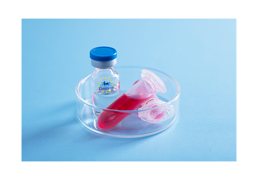 [GEN - PYT381-0.1mg] IL 1 alpha Rat