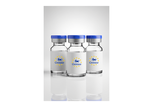 [GEN-RPX274Ge01] Rec. SARS-CoV-2 Nucleoprotein