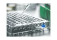 [CSB-PA716402LB01HU] ELISA  ASPHD1 Antibody, HRP  