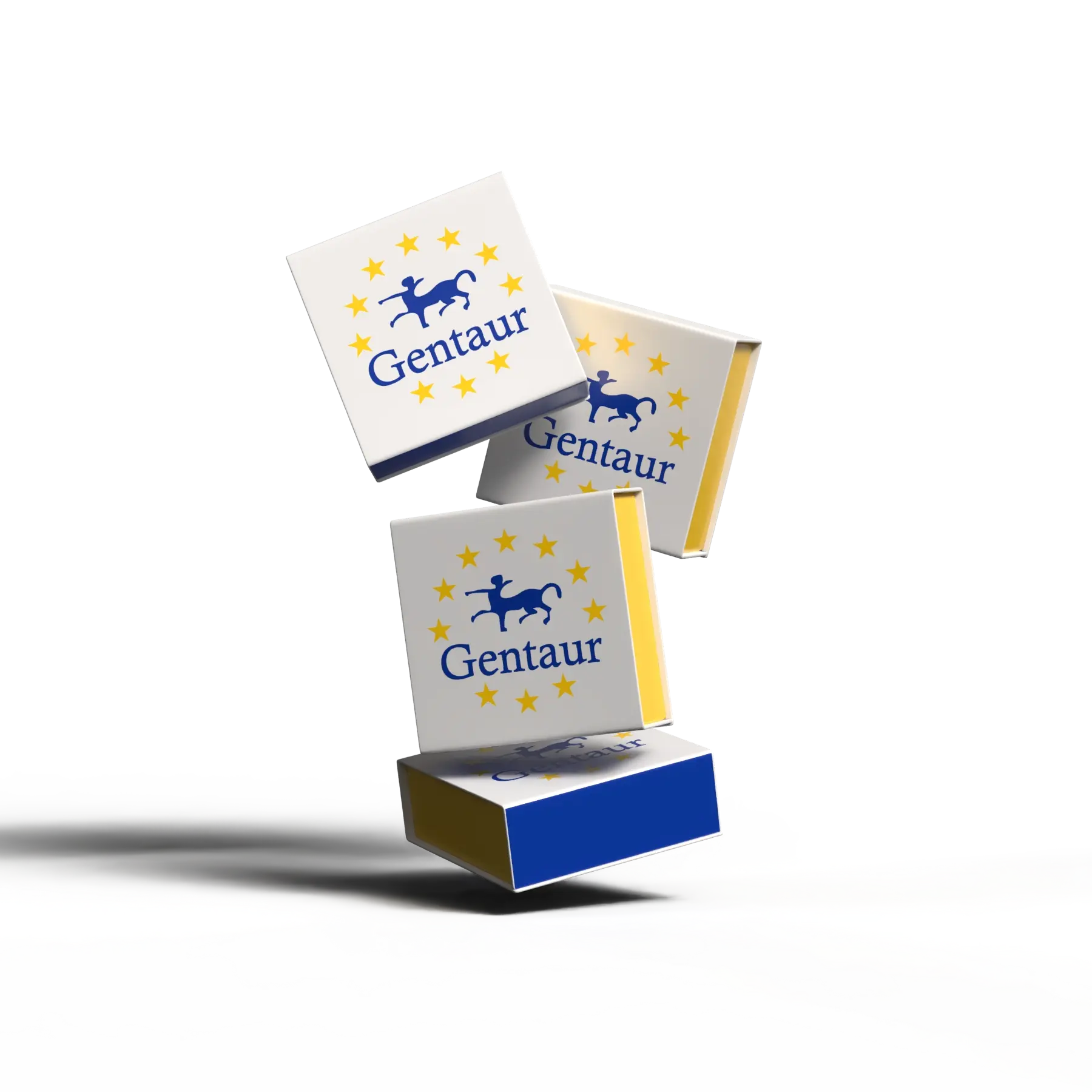 [EA0102] RT-EMA Kit（Liquid）