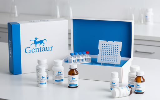 [28PE-100T] PE Anti-Human CD28